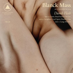 Blanck Mass - Dumn Flesh