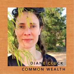 Diane Cluck - Common Wealth (10")