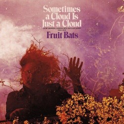 Fruit Bats - Sometimes a Cloud Is Just a Cloud: 2001-2021 (Pink/Violet Vinyl)
