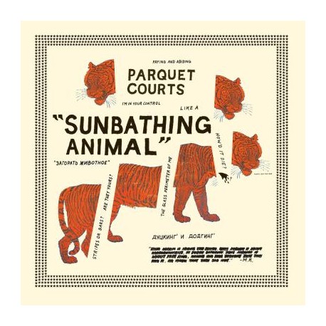 Parquet Courts - Sunbathing Animal