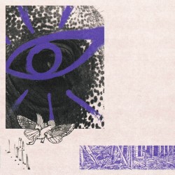 Hippo Campus - LP3 (Purple Vinyl)
