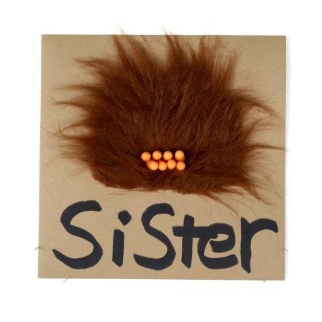 Sister - Feedback + Filterlife