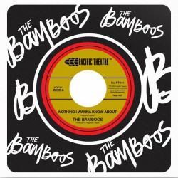 The Bamboos - Nothing I Wanna Know About