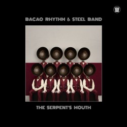 The Bacao Rhythm & Steel Band - The Serpent's Mouth