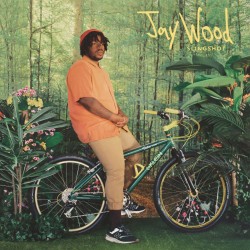 JayWood - Slingshot (Yellow Vinyl)
