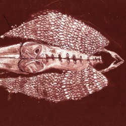 Cerberus Shoal - Homb