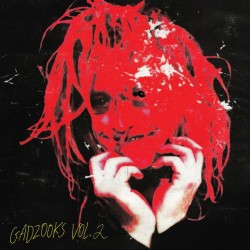 Caleb Landry Jones - Gadzooks Vol. 2 (Red Vinyl)