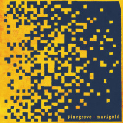 Pinegrove - Marigold (ltd Yellow Vinyl)