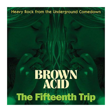 Various - Brown Acid: The Fifteenth Trip (Heavy Rock From The American Comedown Era)