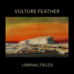 Vulture Feather - Liminal Fields (Bone Vinyl)