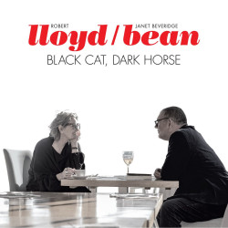 Robert Lloyd / Janet Beveridge Bean - Black Cat, Dark Horse