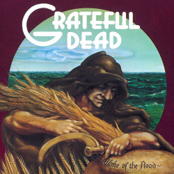 Grateful Dead - Wake of the Flood (Pic Disc)