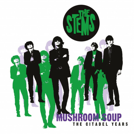 The Stems - Mushroom Soup: The Citadel Years