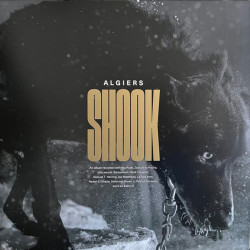 Algiers - Shook (Gold Vinyl)