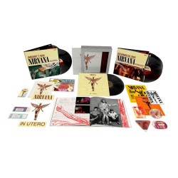 Nirvana - In Utero (30th Ann 8LP Box Set)