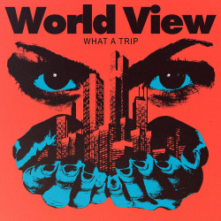 World View - What A Trip EP