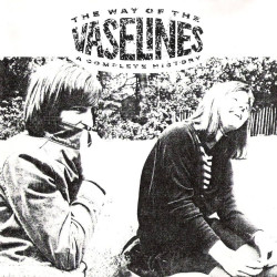 The Vaselines - The Way Of The Vaselines: A Complete History (Clear Vinyl)