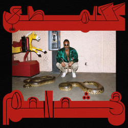 Shabazz Palaces - Robed In Rareness (Red Vinyl)