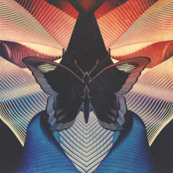 Thornhill - Butterfly (Blue / Red Vinyl)