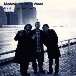 Medeski Martin & Wood - It's A Jungle In Here