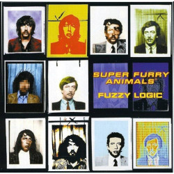Super Furry Animals - Fuzzy Logic (B-Sides & Besides) [RSD2024]