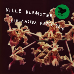 Liv Andrea Hauge Trio - Ville Blomster