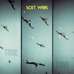 The Soft Walls - True Love (Yellow Vinyl)