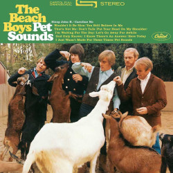 The Beach Boys - Pet Sounds (Coke Bottle Clear Vinyl) [RSD2024]