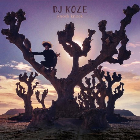 DJ Koze - Knock Knock (Bonus 7")