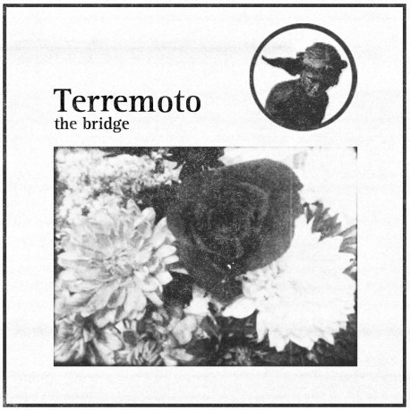 The Bridge - Terremoto