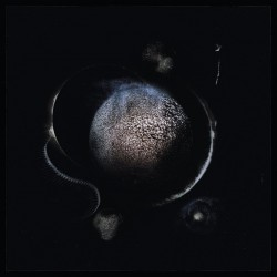 Enthroned - Cold Black Suns (LTD Silver Vinyl)