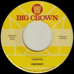 Liam Bailey - Champion / Please Love Me Again (acoustic)
