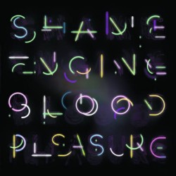 Health&Beauty - Shame Engine / Blood Pleasure