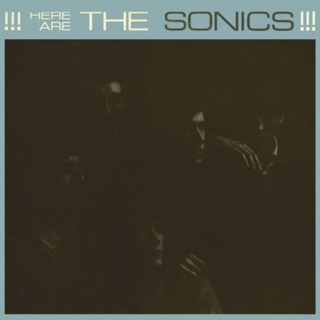 The Sonics - Here Are The Sonics!!!