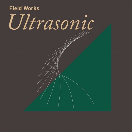 Various - Ultrasonic: Field Works